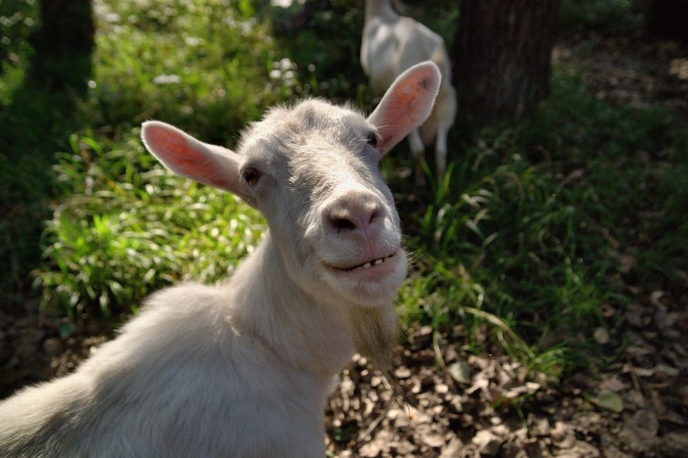 Photograph by АНДРЕЙ Роев