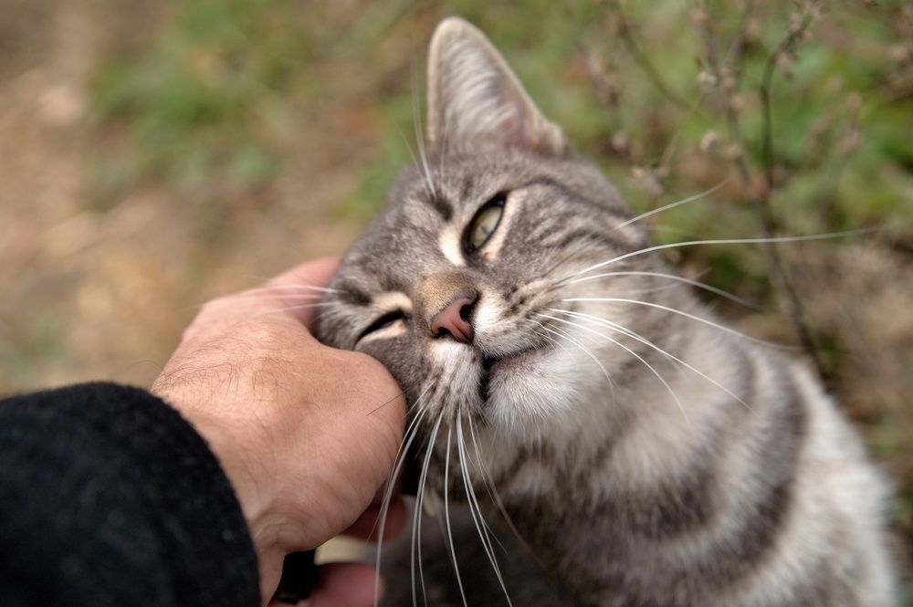 Photograph by АНДРЕЙ Роев