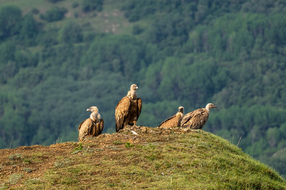 Photograph by Баландин Дмитрий