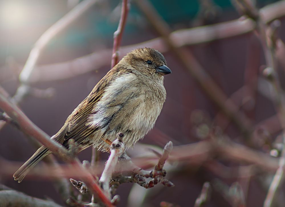 Photograph by Белан Олег