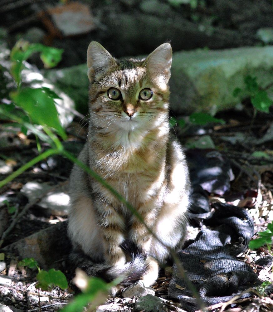 Photograph by АНДРЕЙ Роев