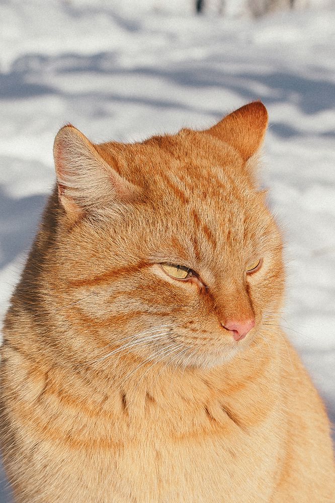 Photograph by Татьяна Суржанская