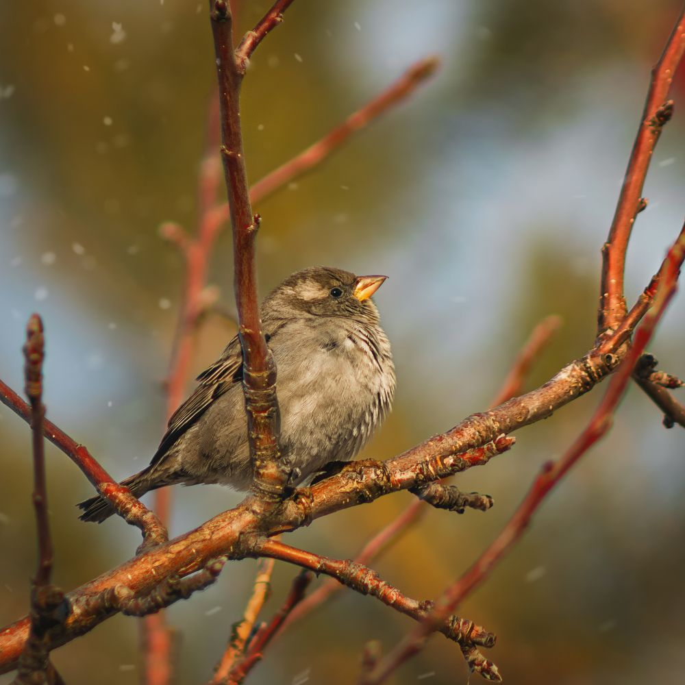 Photograph by Белан Олег