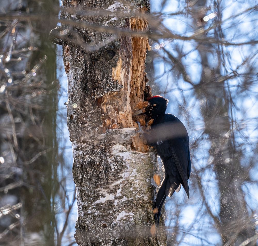 Photograph by Баландин Дмитрий