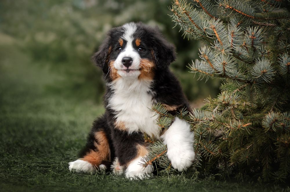 Photograph by Екатерина Кикоть