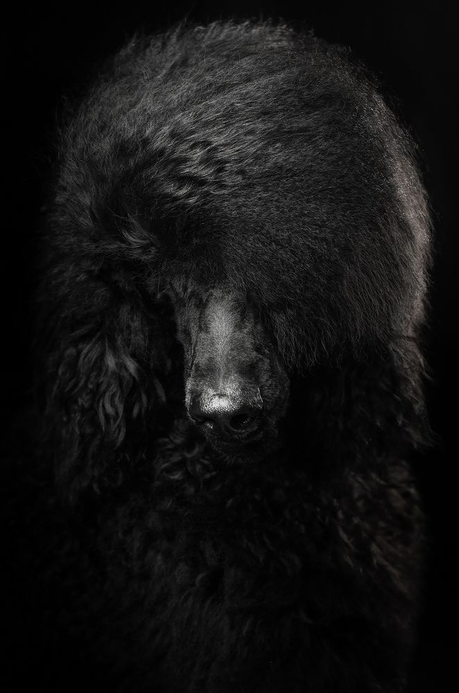 Photograph by Екатерина Кикоть