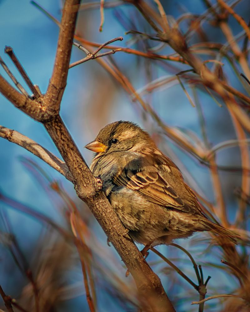 Photograph by Белан Олег