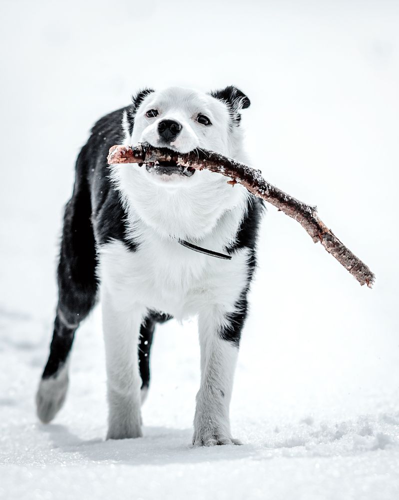 Photograph by Yordan Nedialkov