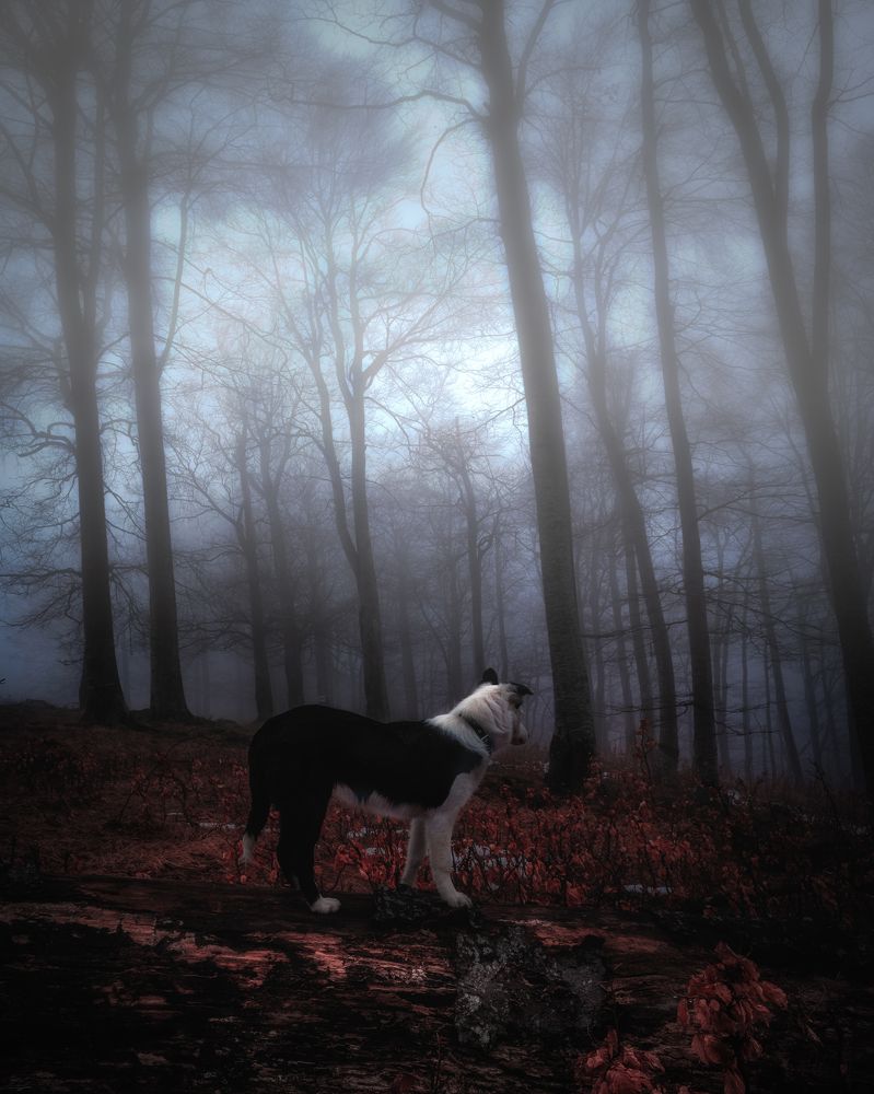 Photograph by Yordan Nedialkov