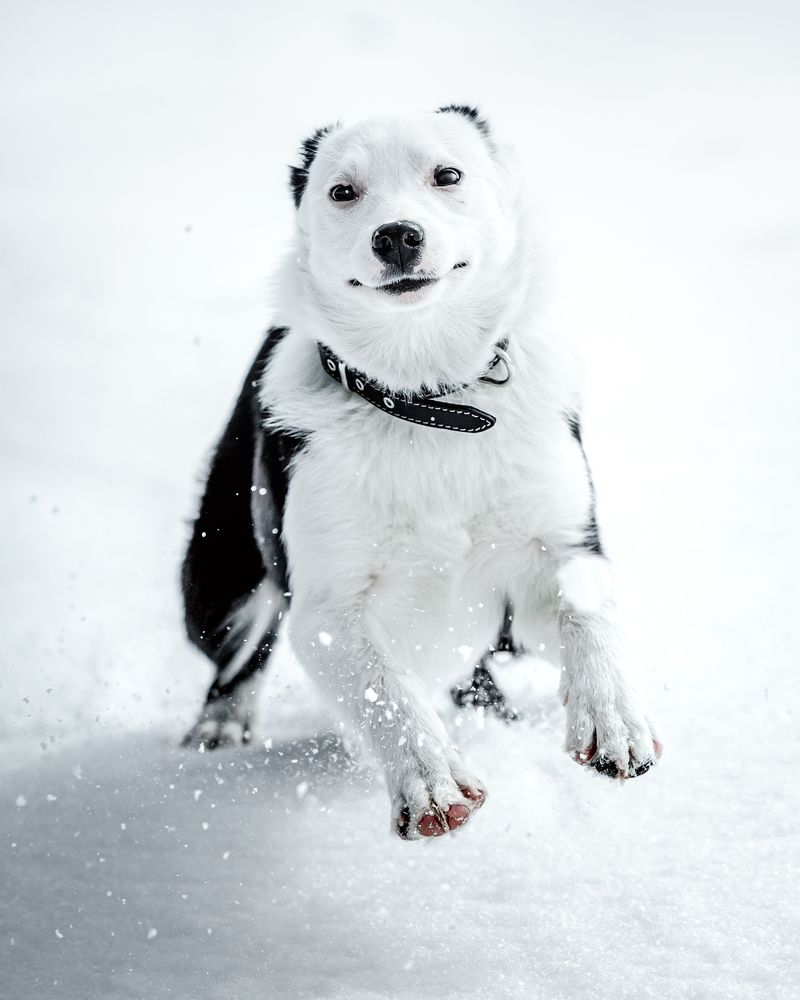 Photograph by Yordan Nedialkov