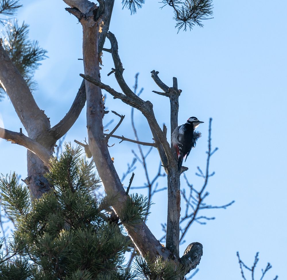 Photograph by Баландин Дмитрий