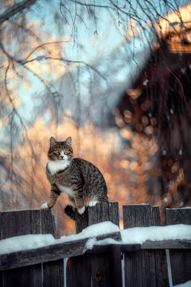 Photograph by Елена Баклач