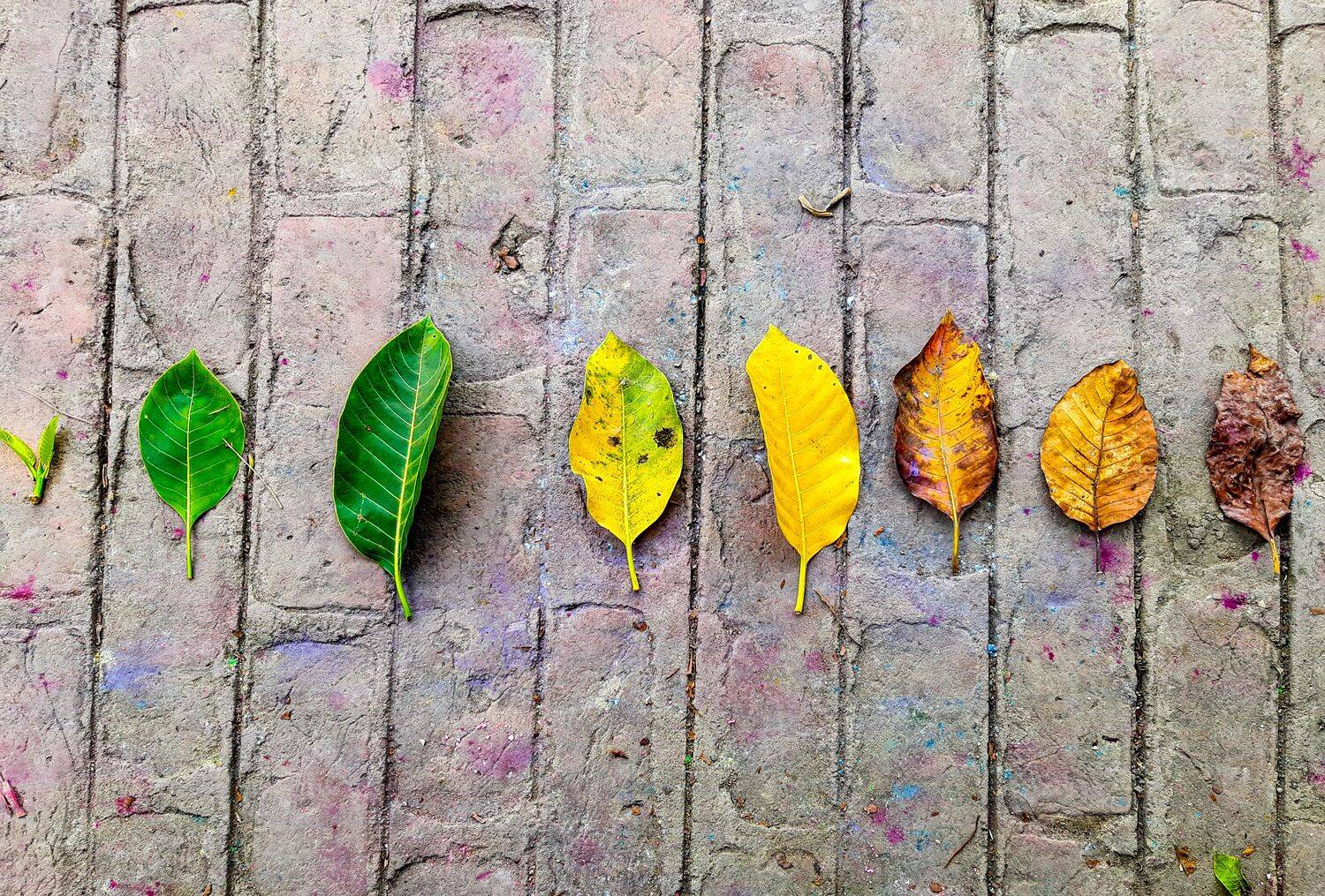 Conceptual photo
