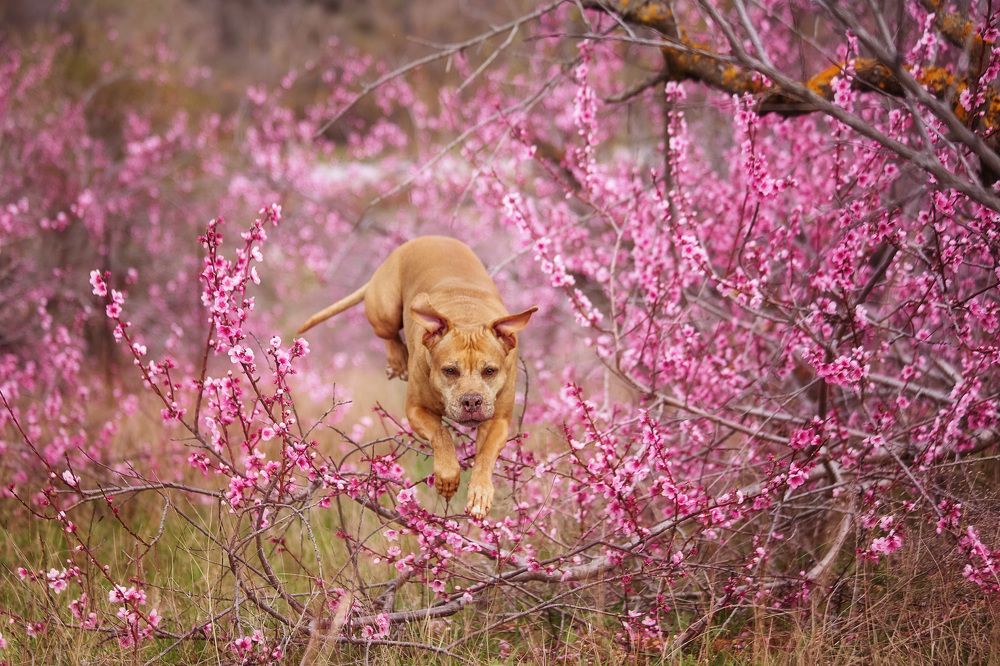 Photograph by Ирина Корх