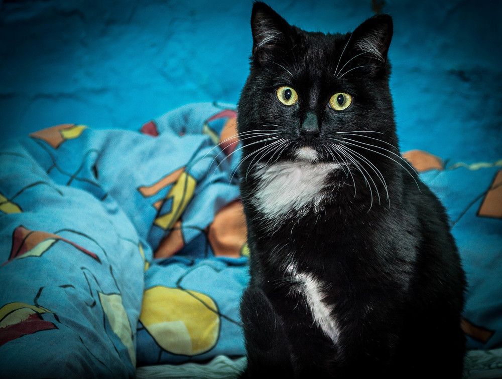 Photograph by Алексей Митрофанов