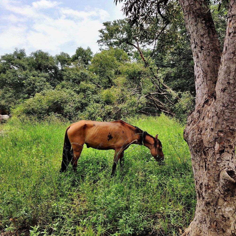 Photograph by Vivek Gohil