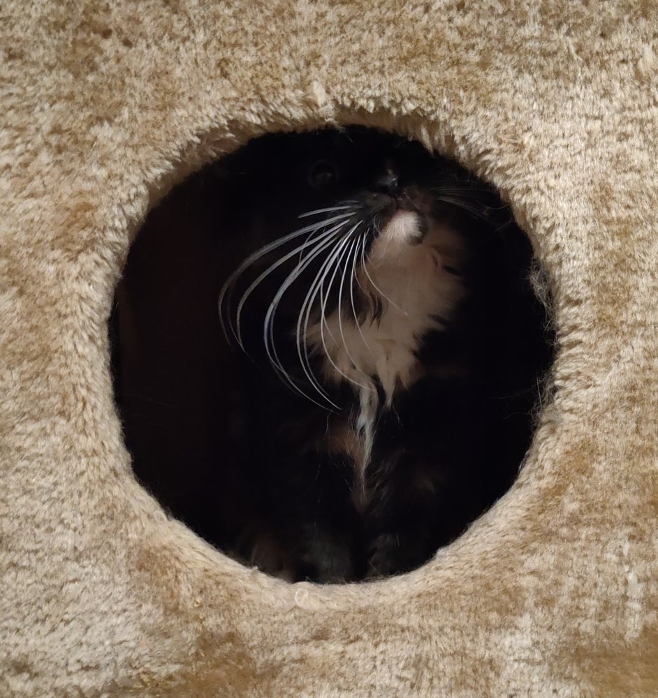 Photograph by Ольга