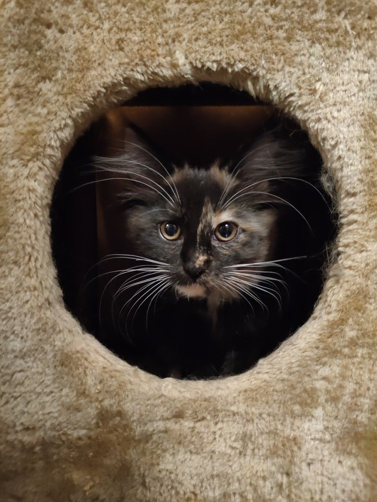 Photograph by Ольга