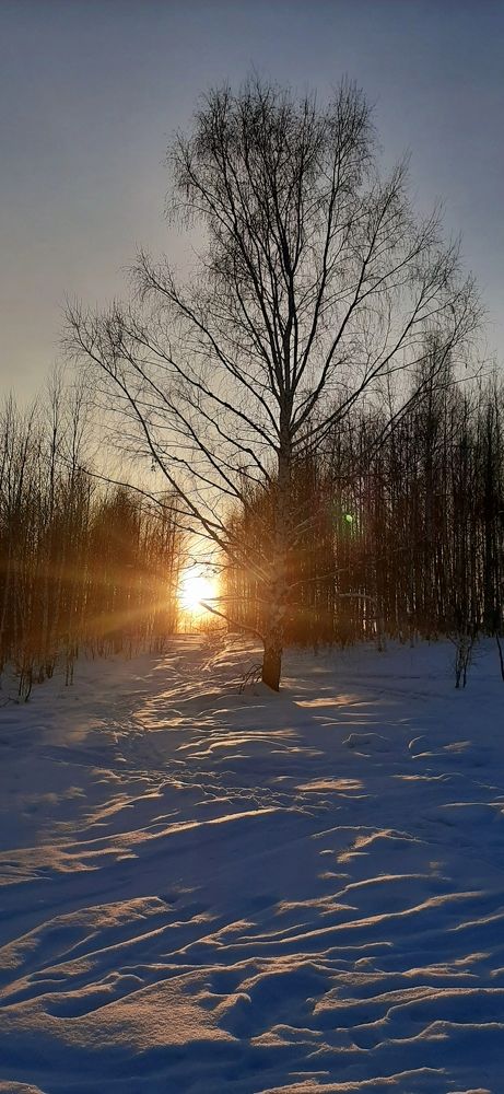 Photograph by Татьяна Суржанская