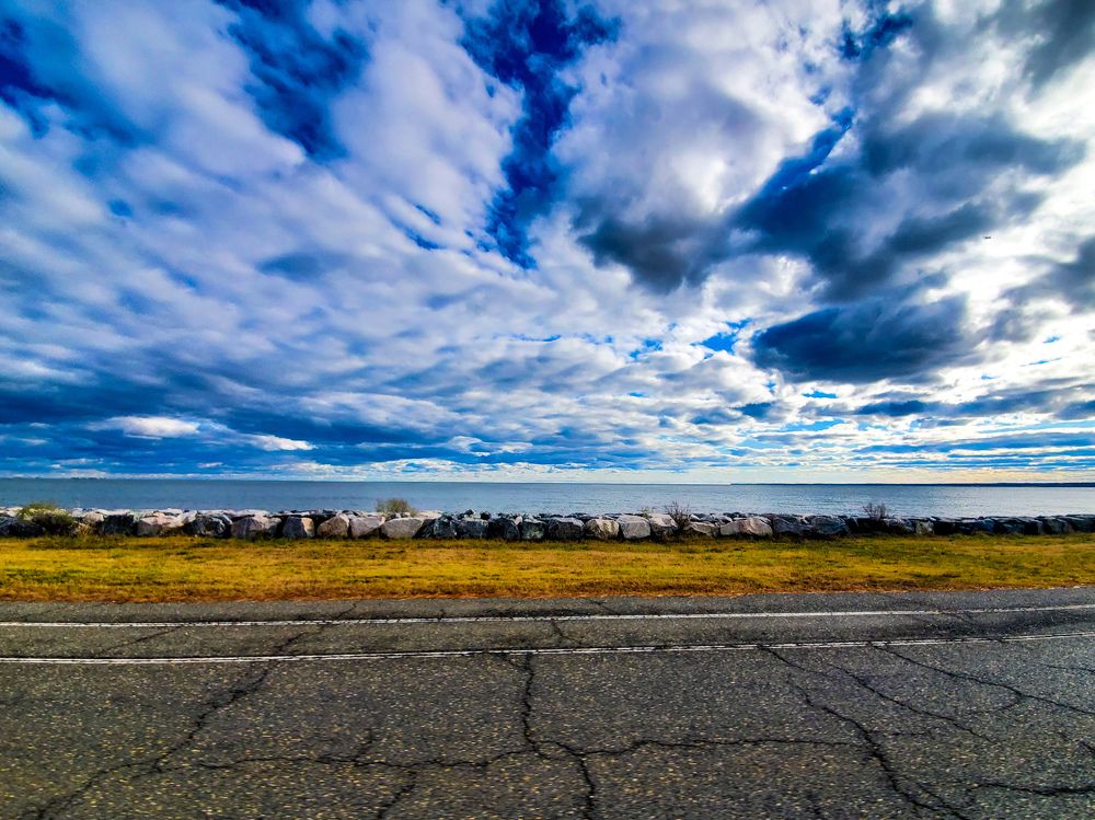 Photograph by Brian Scowcroft