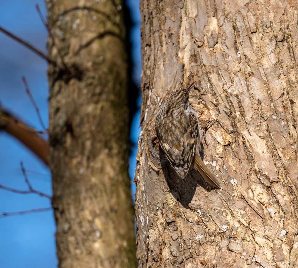Photograph by Баландин Дмитрий
