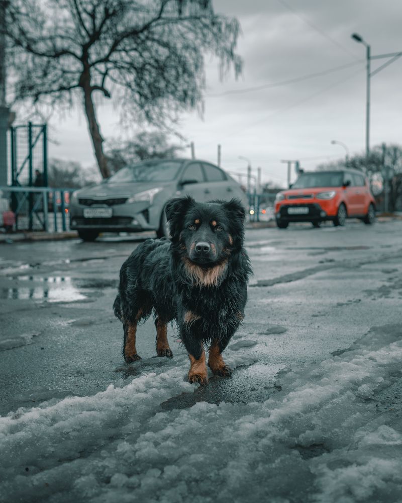 Photograph by Вюсал Асадов