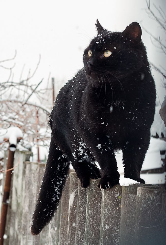 Photograph by Мария Данилкина