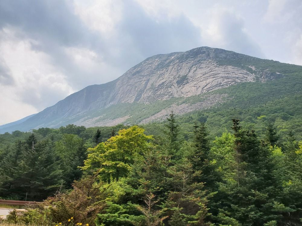 Photograph by Brian Scowcroft