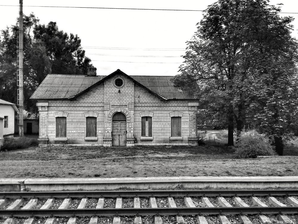 Photograph by Мария Данилкина