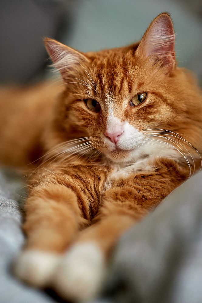 Photograph by Dmitry Malyarevich