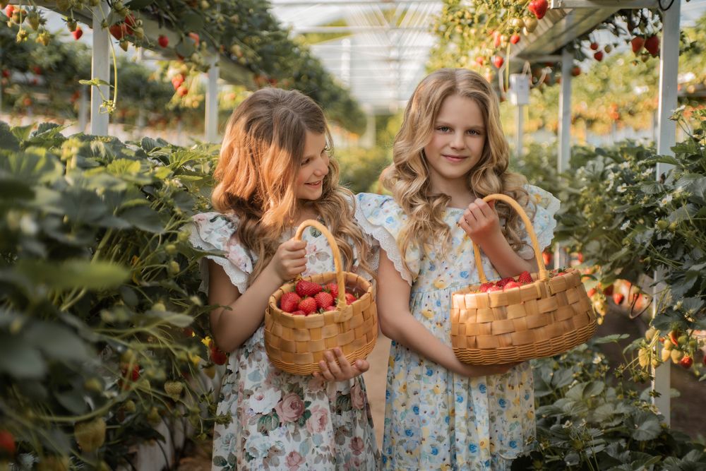 Сестрички и клубничка