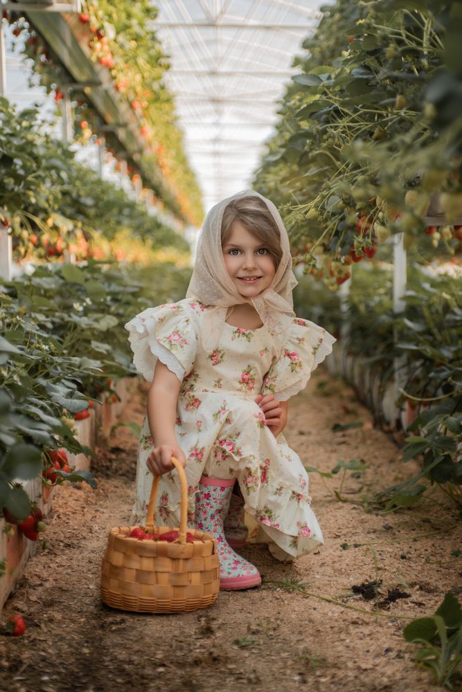 Клубничные истории