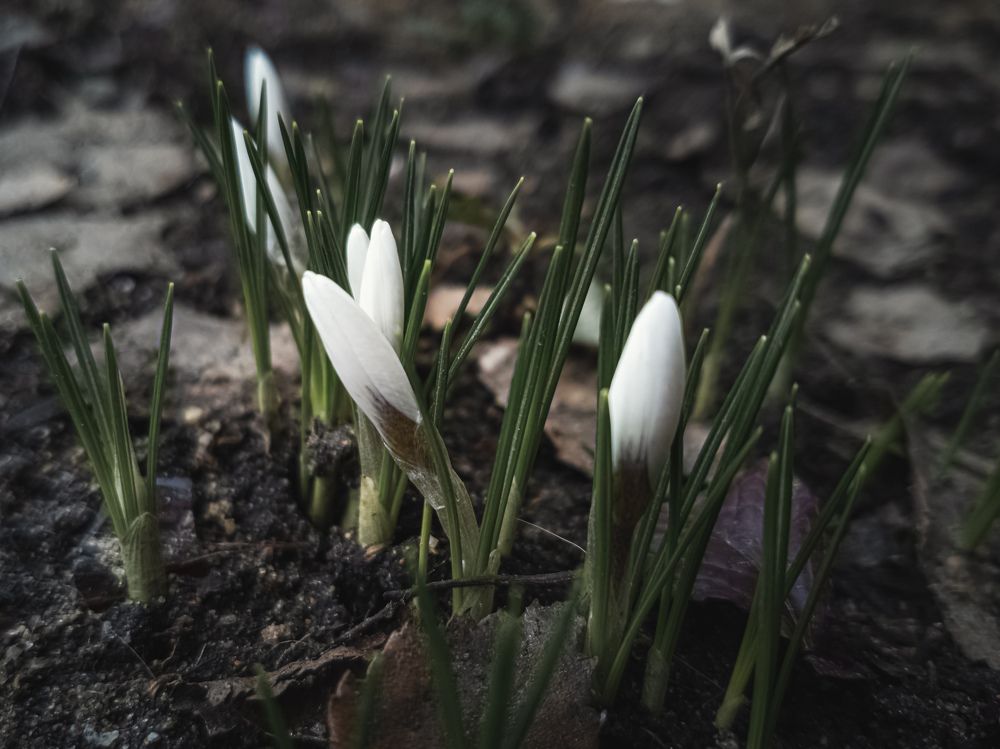 Photograph by Александр Безуглый