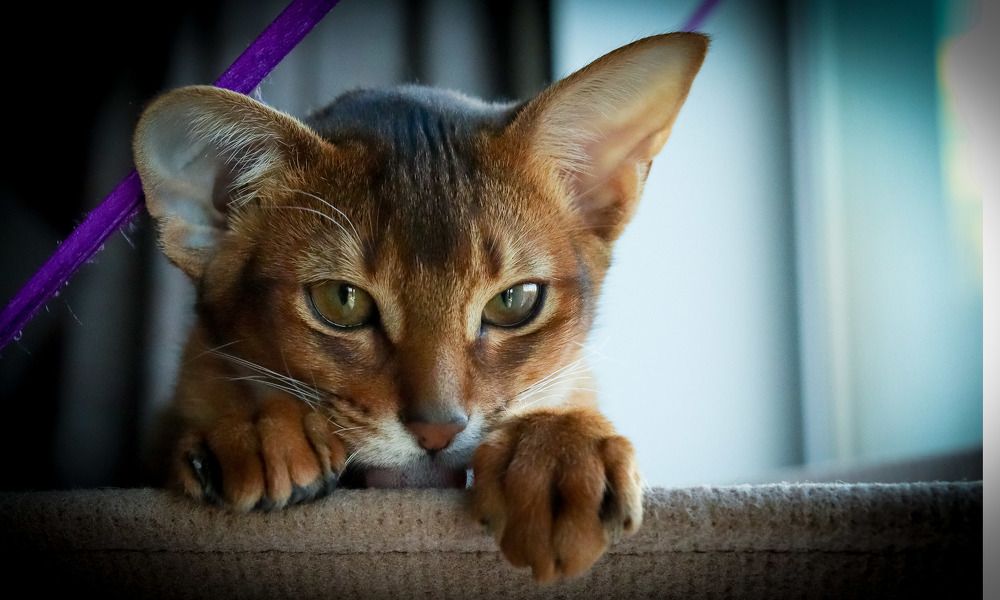 Photograph by Екатерина Чернышова