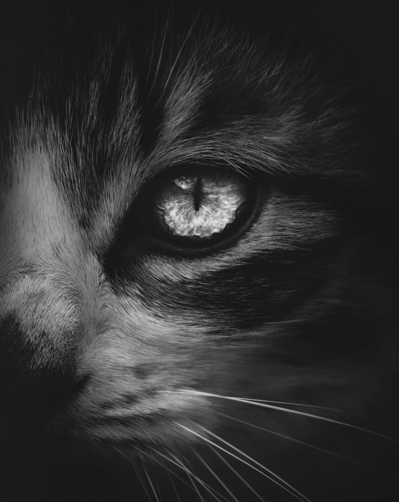 Photograph by LEONARDO HALL RAMIREZ