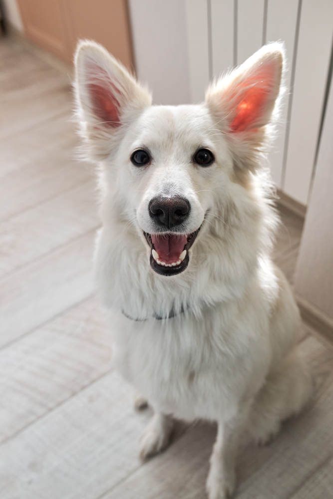 Photograph by Dmitry Malyarevich