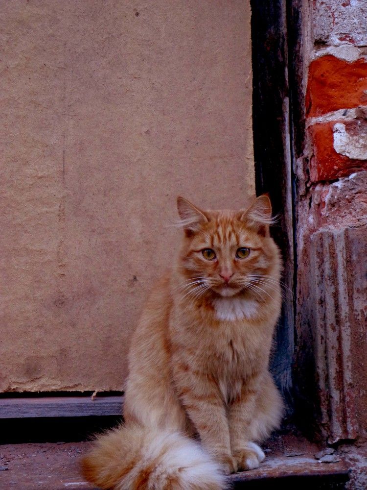 Photograph by Наталья Сазонова