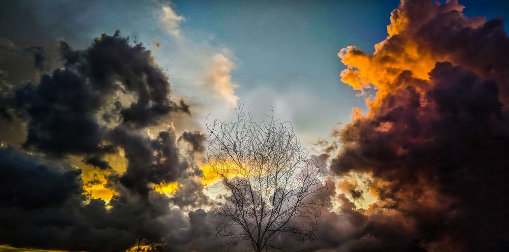 Photograph by Nishant Raj