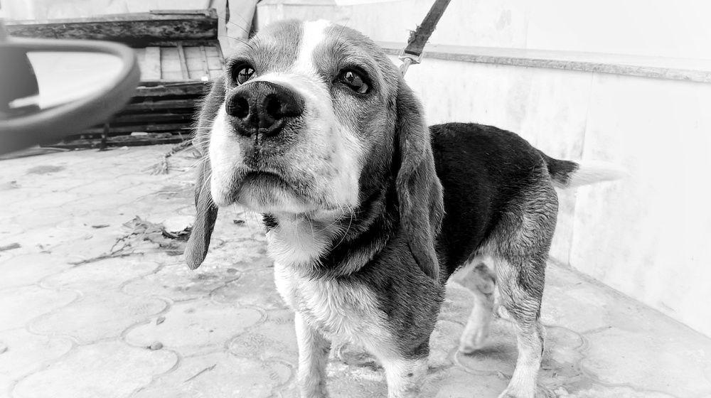 Photograph by Nishant Raj