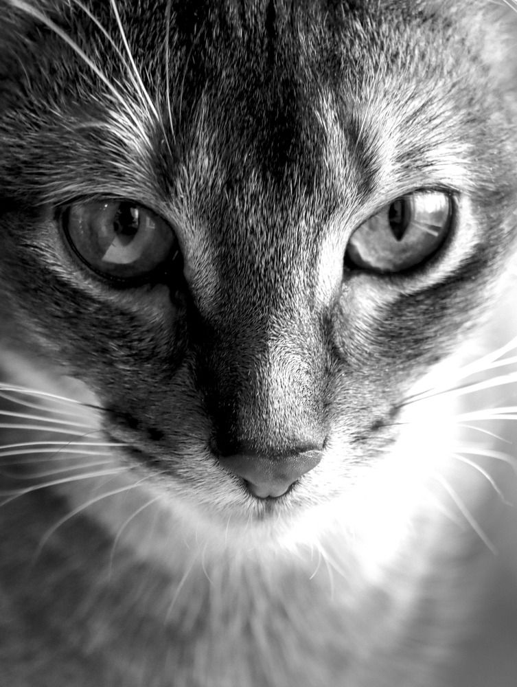 Photograph by Екатерина Чернышова