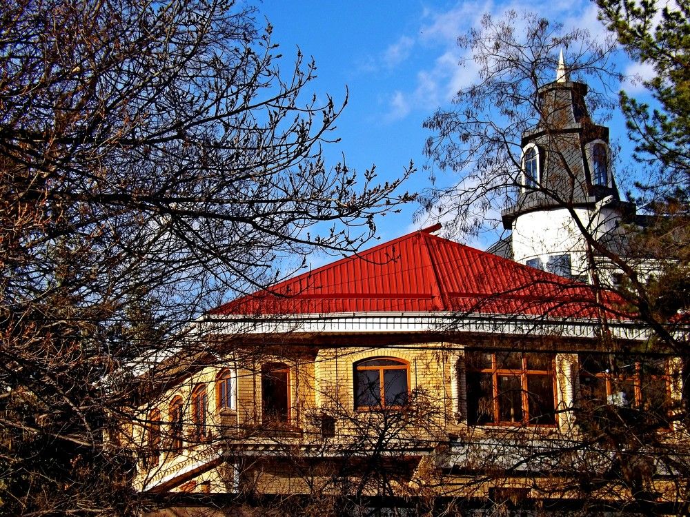 Photograph by Евгений Бригиневич - Снежин