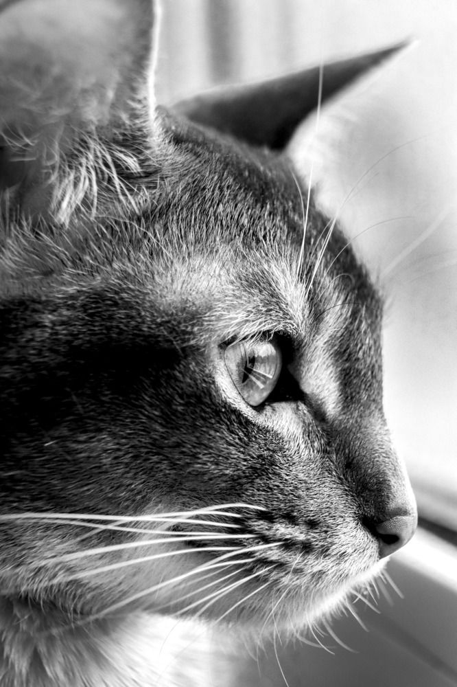 Photograph by Екатерина Чернышова