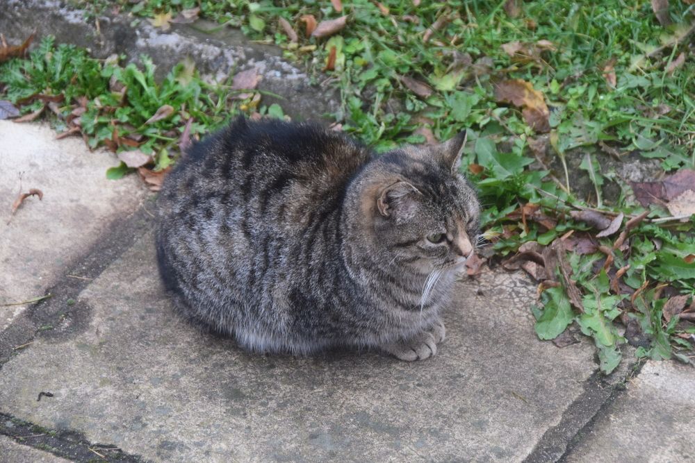 Photograph by Galina Leskova