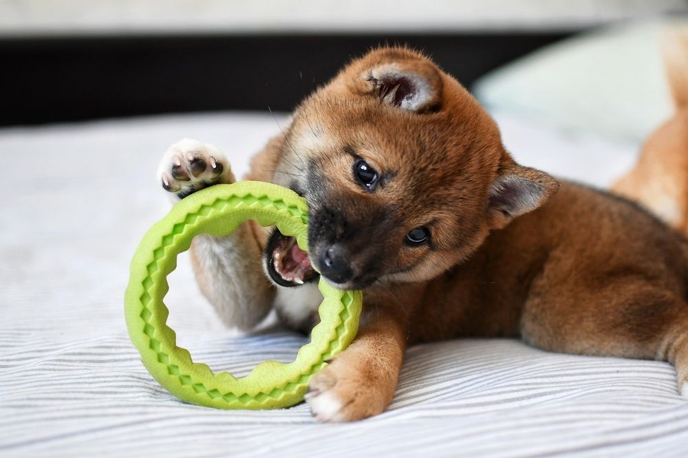 Photograph by Евгения Горшкова