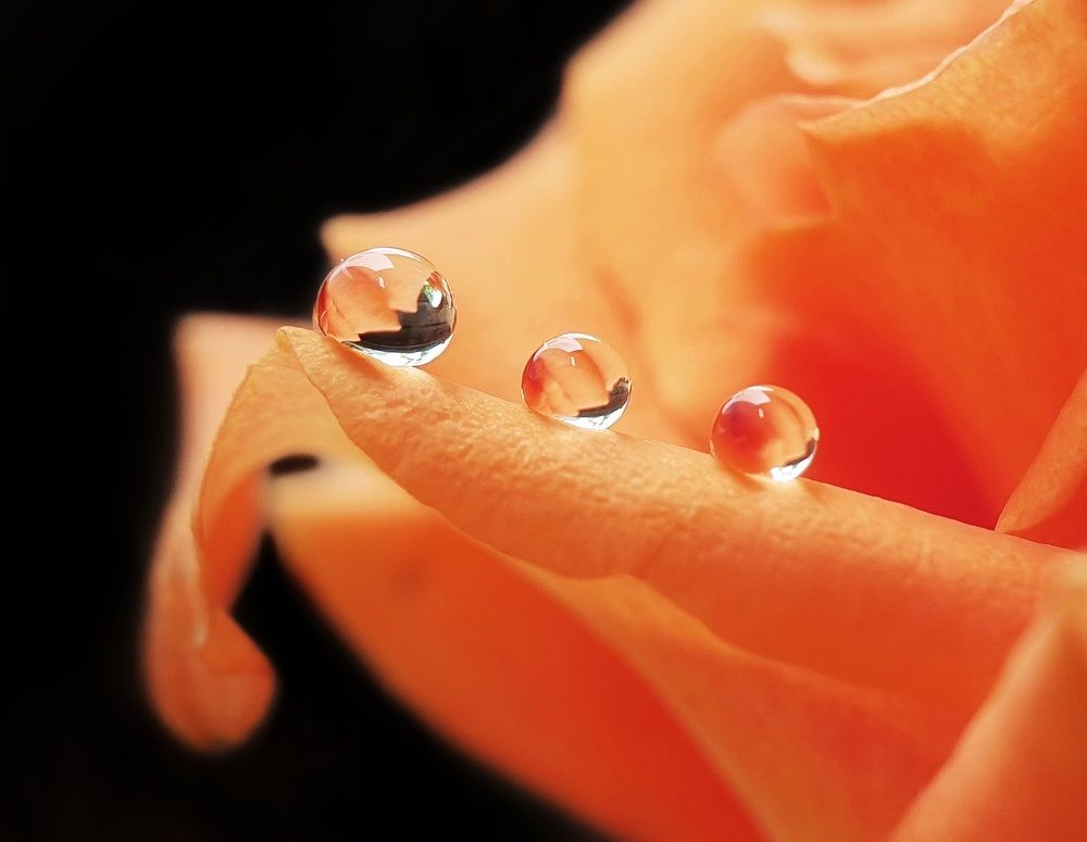 Photograph by NGUYỄN LIÊN