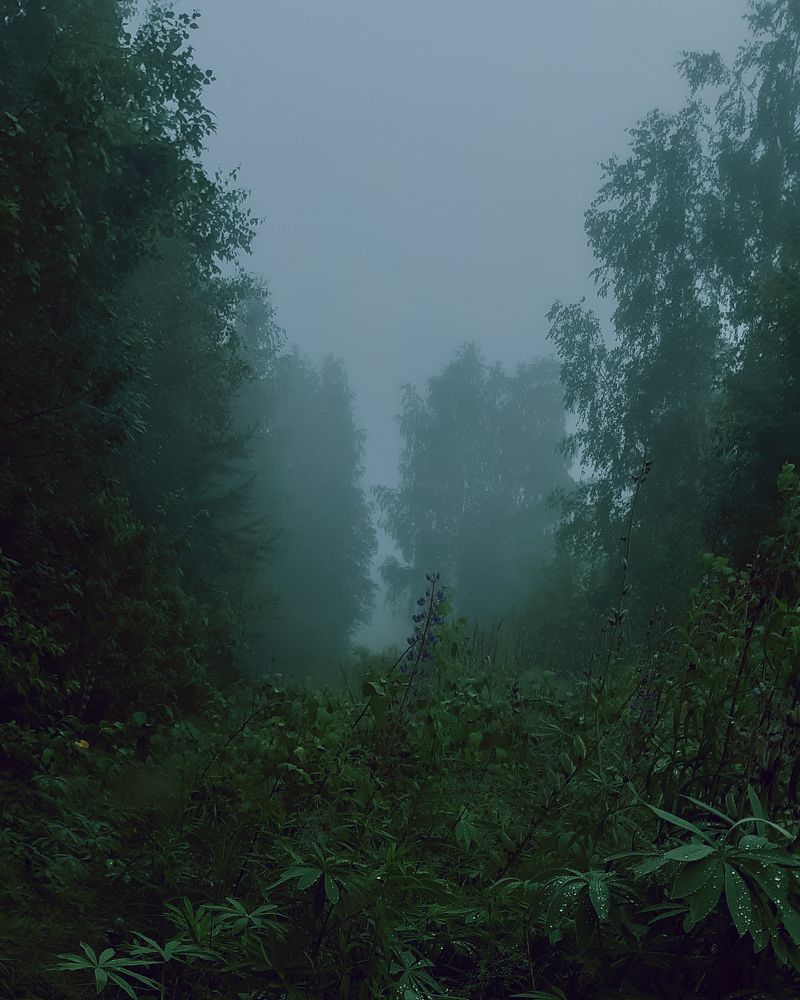 Photograph by Татьяна Носкович