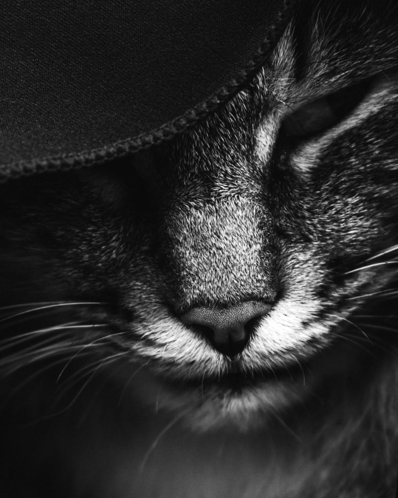 Photograph by Татьяна Носкович