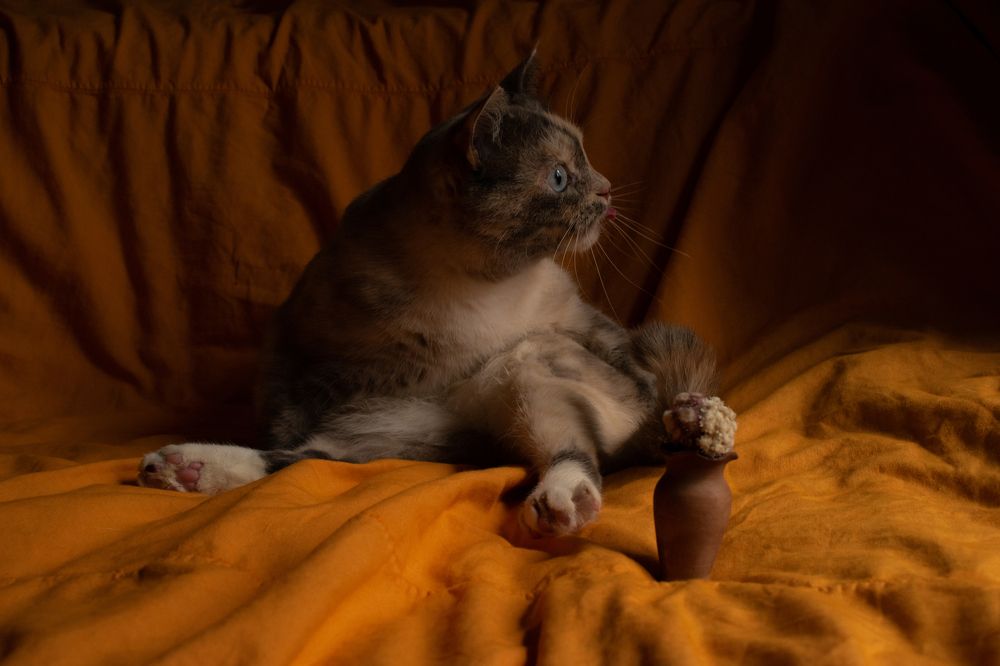 Photograph by Татьяна Носкович