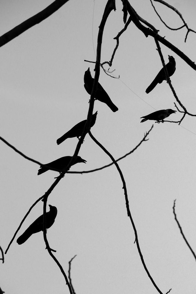 Photograph by Mankesh Chauhan