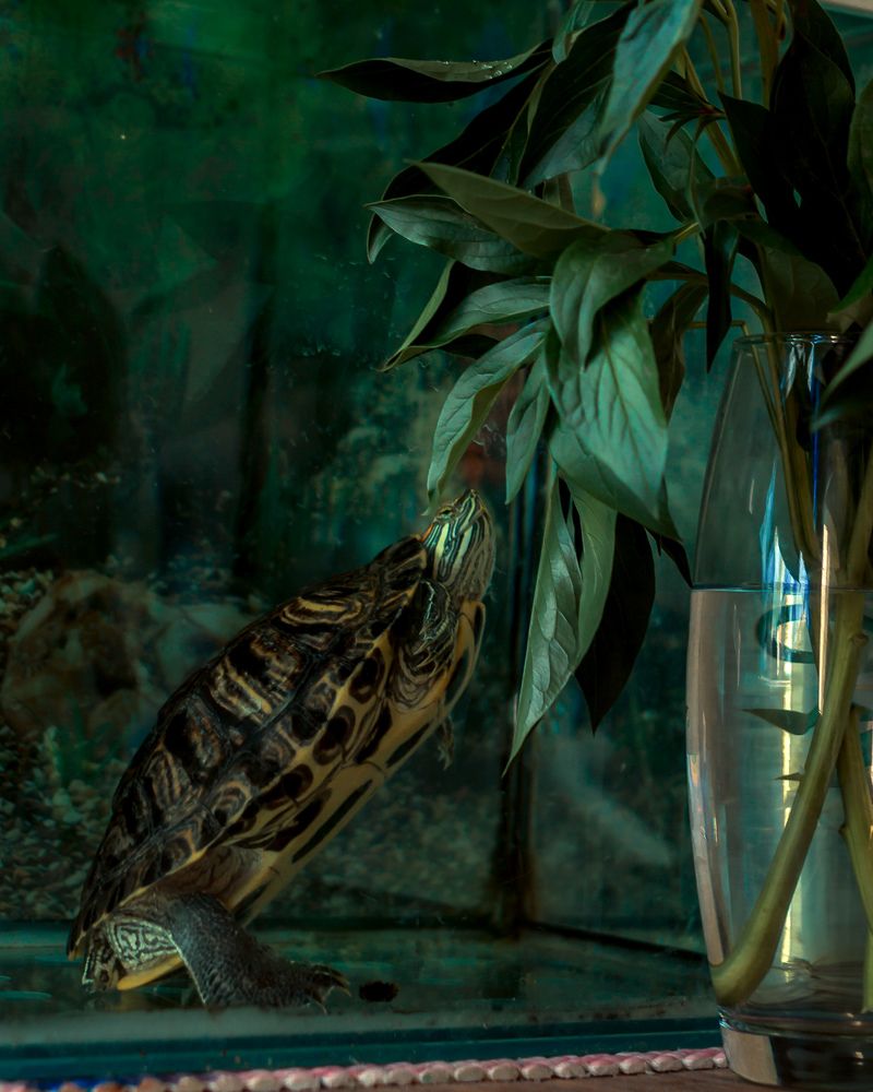 Photograph by Вера Олина